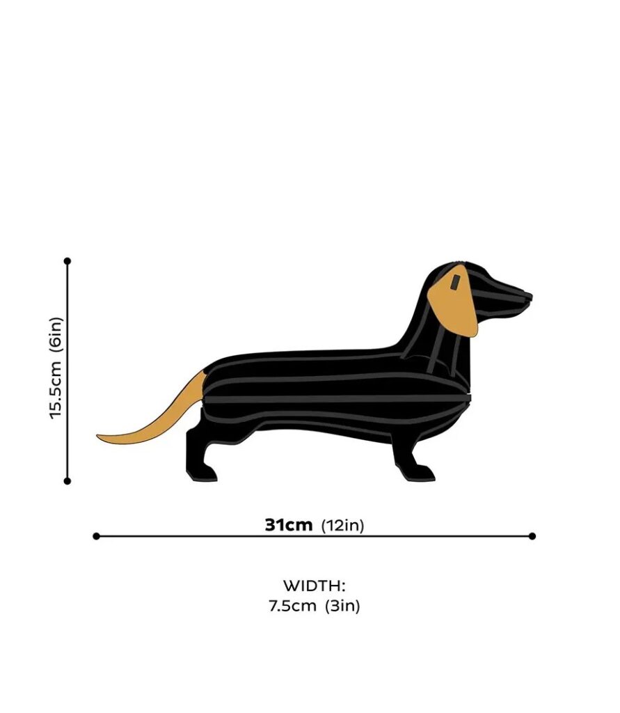 Lovi-Dachshund-31cm-measures-2